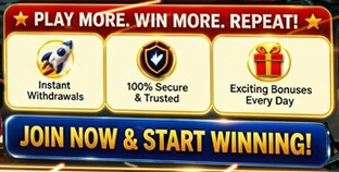 NPVIP features: instant withdrawals, secure and trusted, bonuses every day